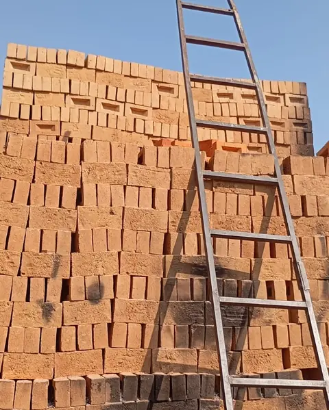 Horno de leña cargado con tabique en la planta
